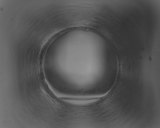 X0000053070676200507181627