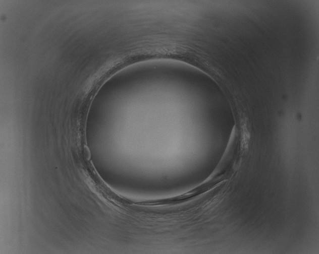 X0000053070677200507181627