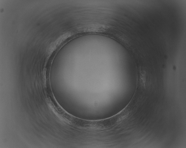 X0000053070678200507181627