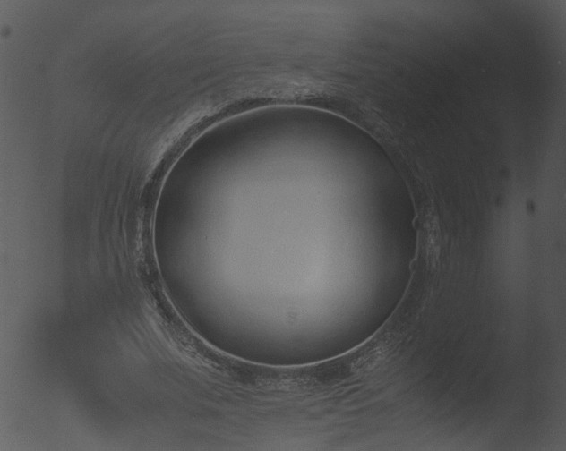 X0000053070679200507181627