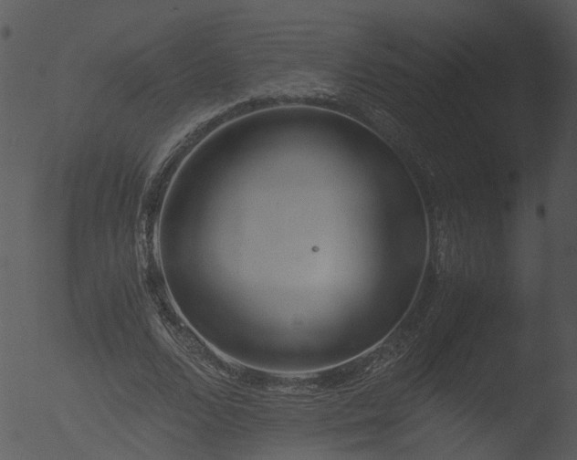 X0000053070680200507181627