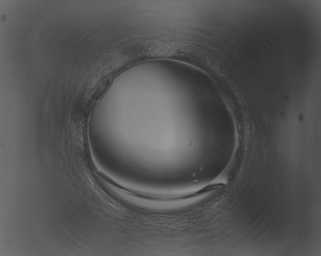 X0000053070681200507181627