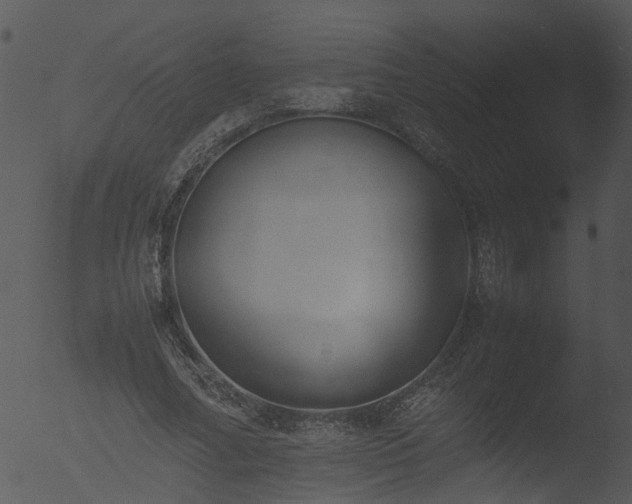 X0000053070682200507181627