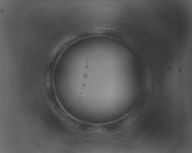 X0000053070683200507181627