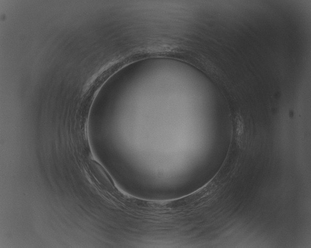 X0000053070684200507181627