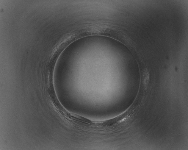 X0000053070685200507181627