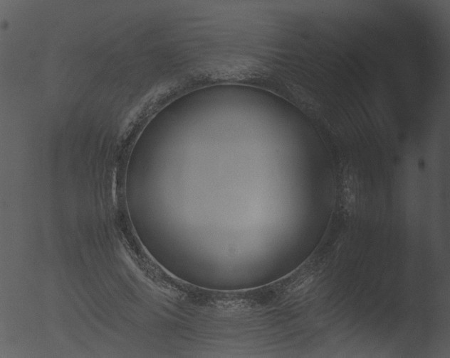 X0000053070686200507181627