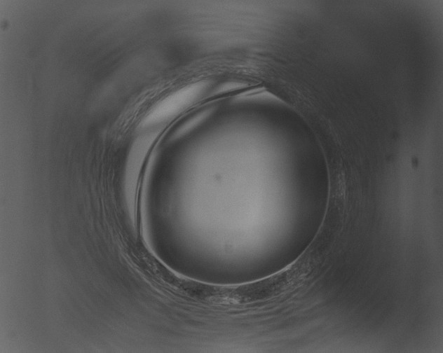 X0000053070687200507181627