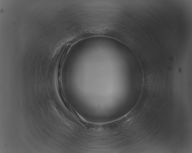 X0000053070688200507181626