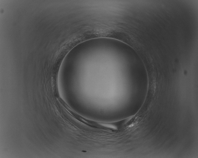 X0000053070689200507181626