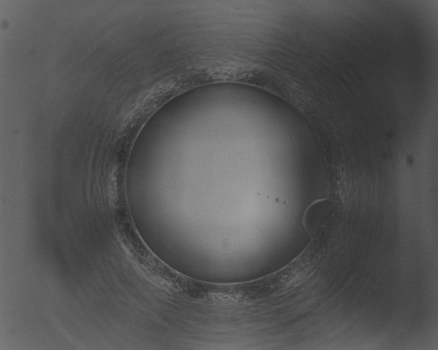 X0000053070690200507181626