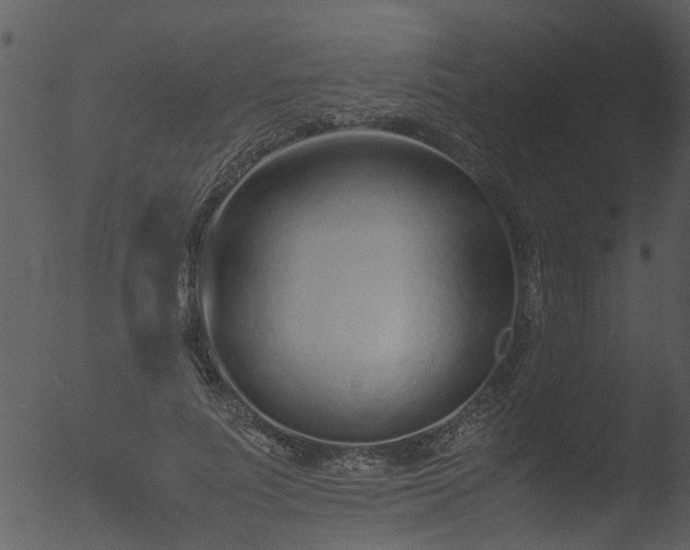 X0000053070691200507181626