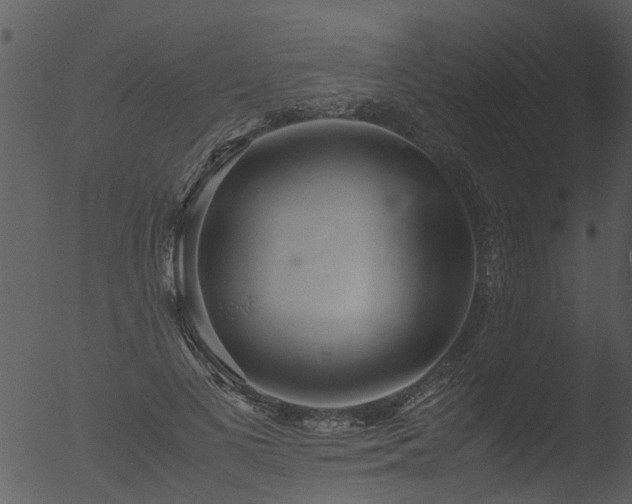 X0000053070693200507181626