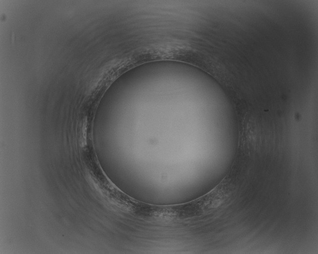 X0000053070694200507181626