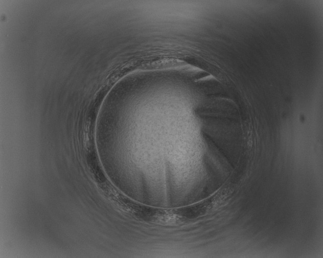 X0000053070695200507181626