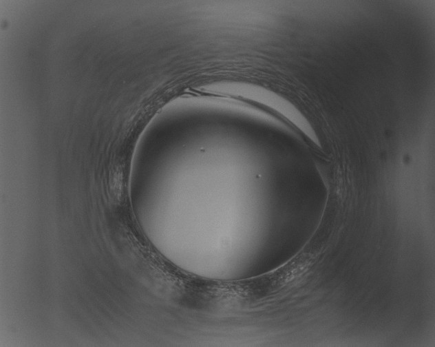 X0000053070697200507181626