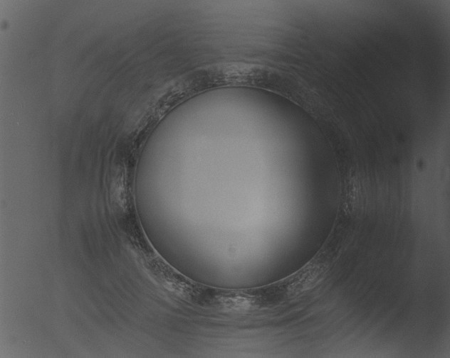 X0000053070698200507181626