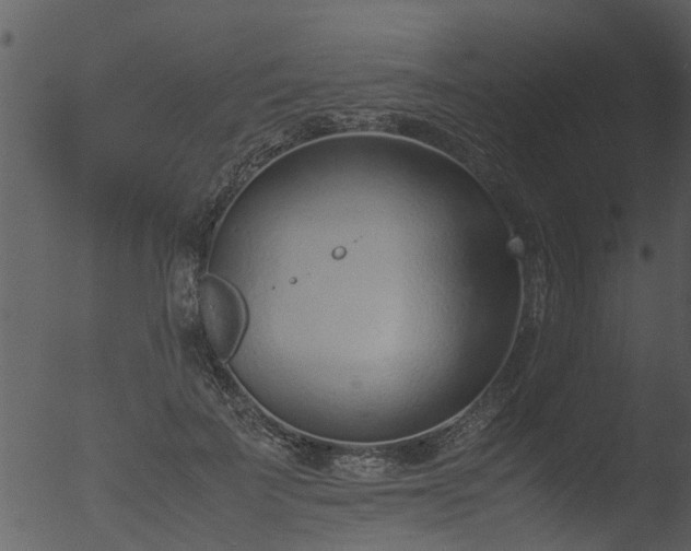 X0000053070699200507181626