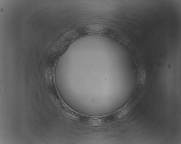 X0000053070701200507181626