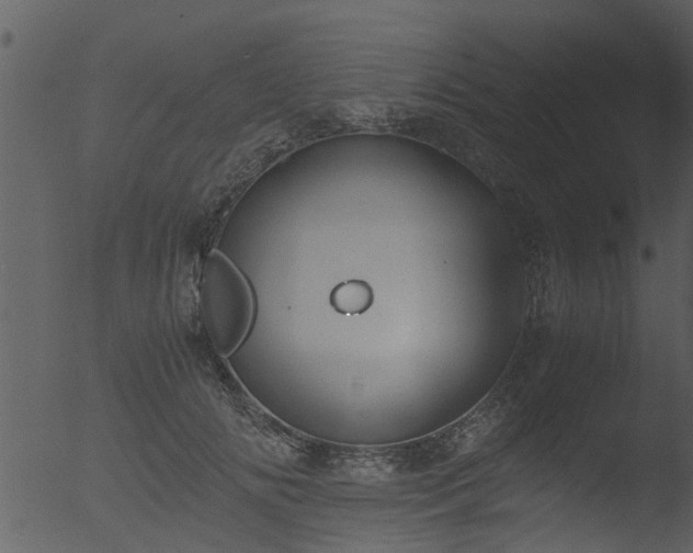 X0000053070702200507181626