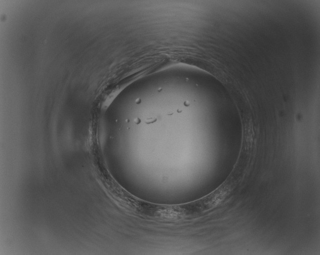 X0000053070703200507181626