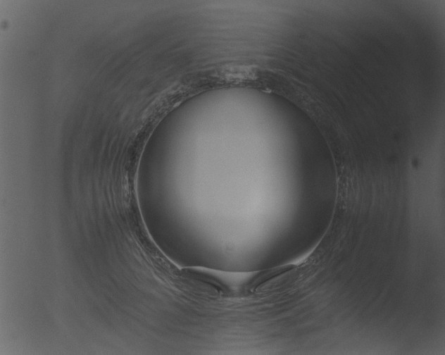 X0000053070704200507181626