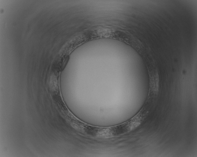 X0000053070705200507181626