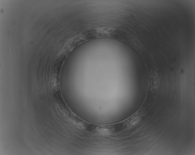 X0000053070706200507181626