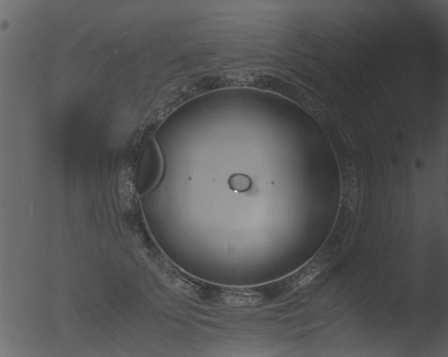 X0000053070707200507181626