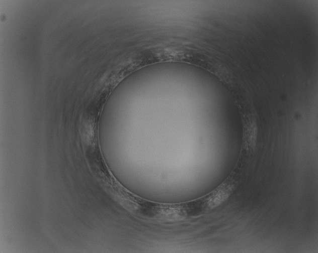 X0000053070709200507181626