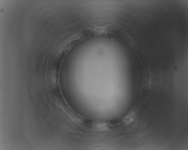 X0000053070710200507181626