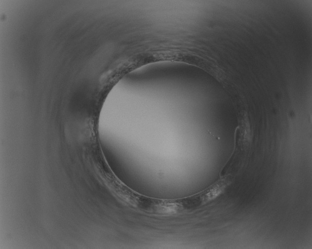 X0000053070711200507181626