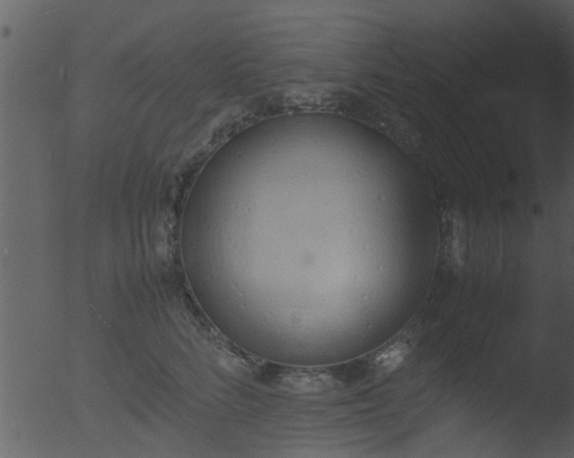 X0000053070712200507181626