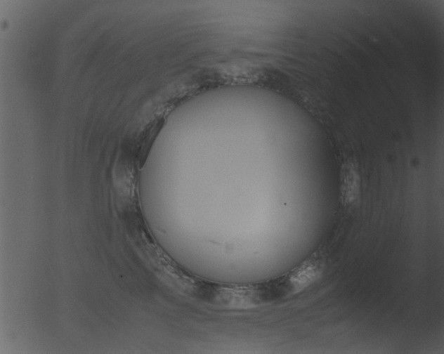 X0000053070713200507181626