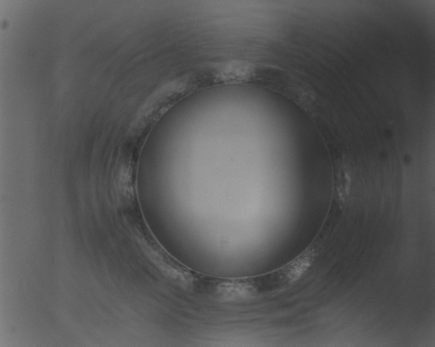 X0000053070714200507181626