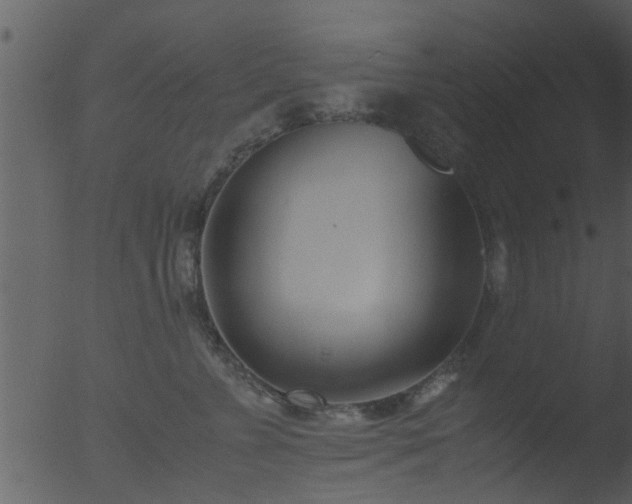 X0000053070715200507181626