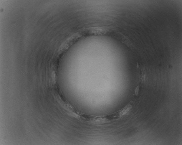 X0000053070716200507181626