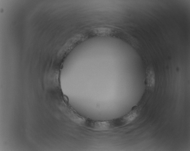 X0000053070717200507181626