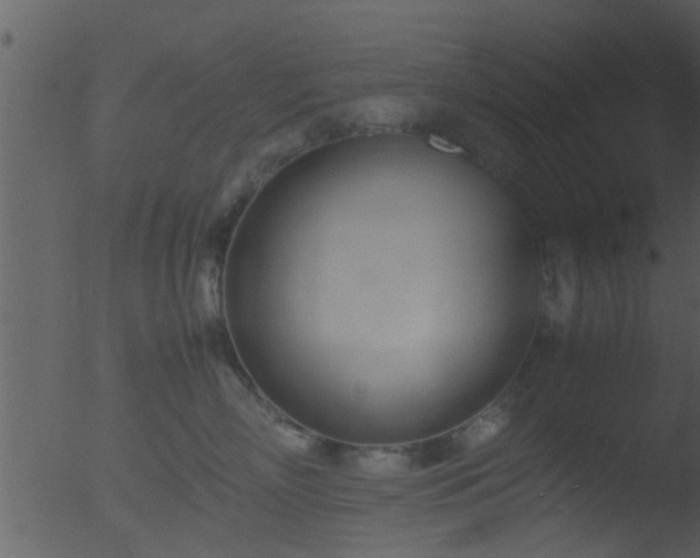 X0000053070718200507181626