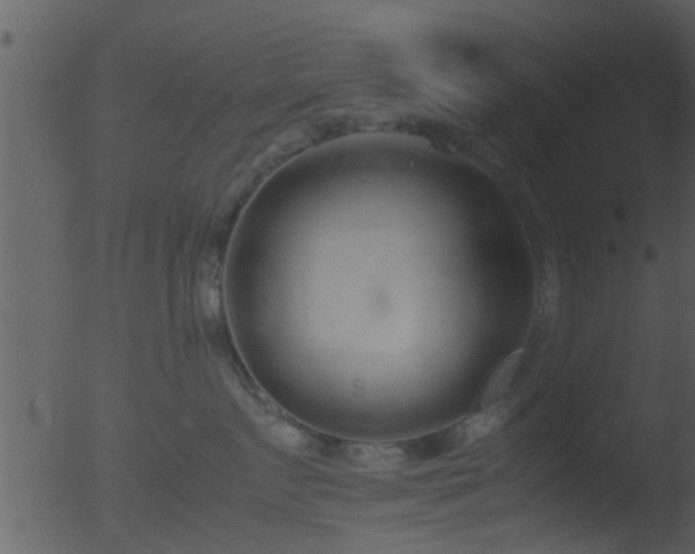 X0000053070719200507181626