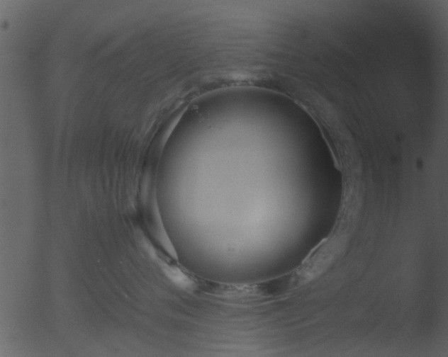 X0000053070720200507181626