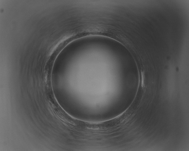 X0000053070723200507181625