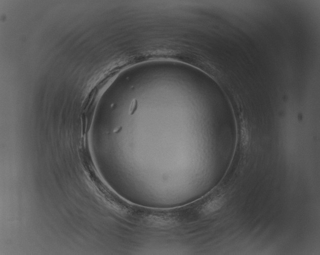 X0000053070725200507181625