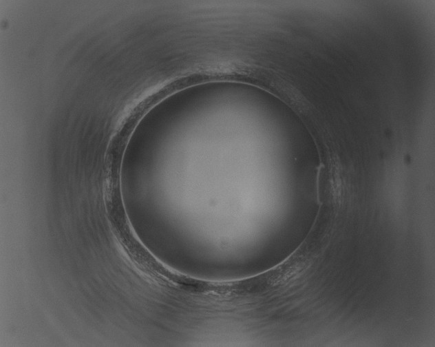 X0000053070728200507181625