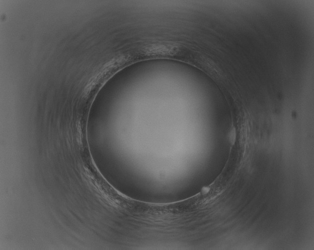 X0000053070729200507181625