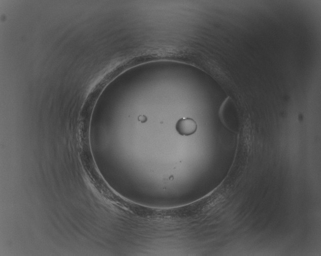 X0000053070730200507181625