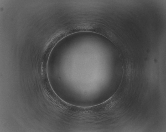 X0000053070731200507181625