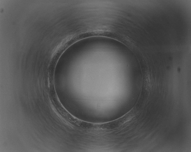 X0000053070734200507181625