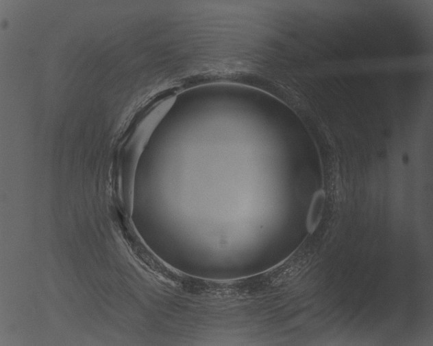 X0000053070736200507181625