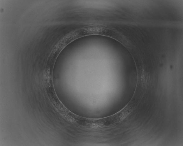 X0000053070737200507181625